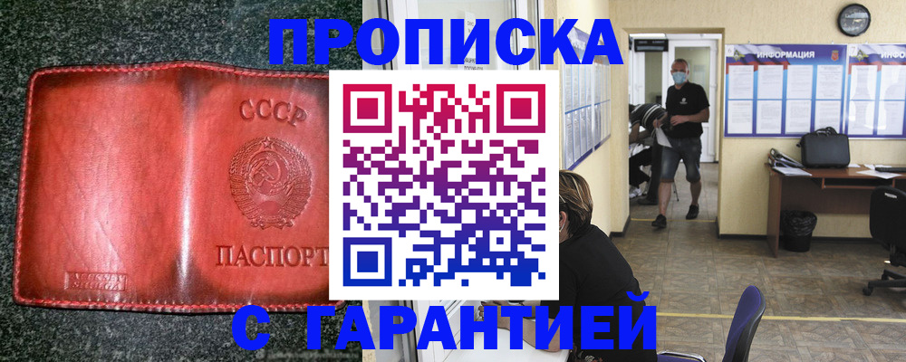 прописка гарантия в Домодедово